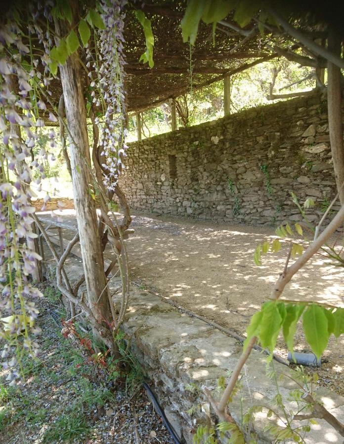 Le Mercou en Cévennes Saint-Martin-de-Boubaux Exterior foto
